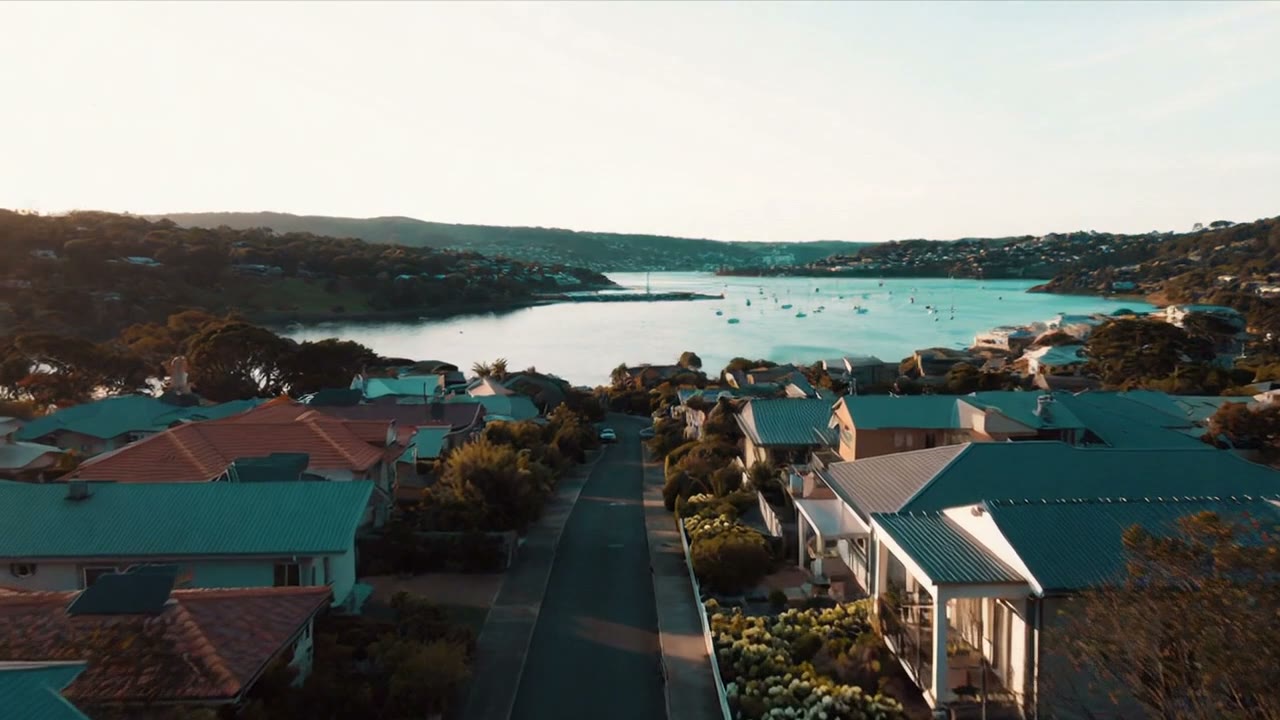 Apartment vs house in NZ — realistic NZ property scene