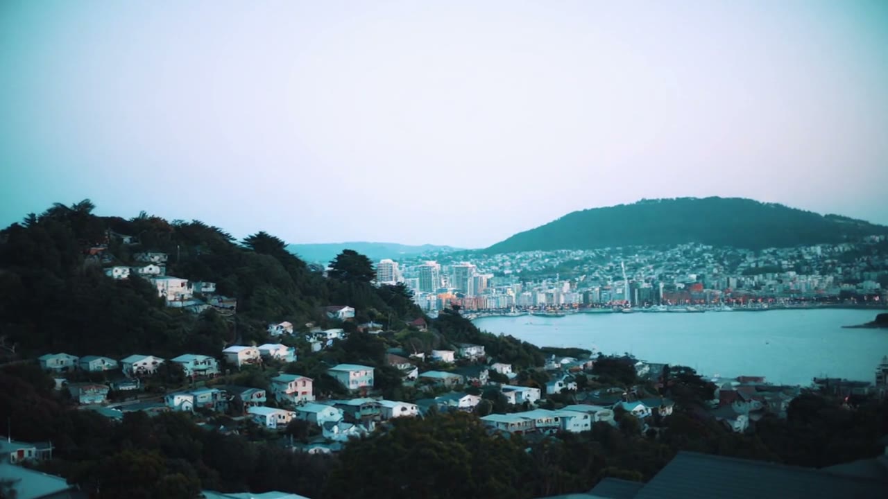 Buying and selling property in Wellington — realistic NZ property scene