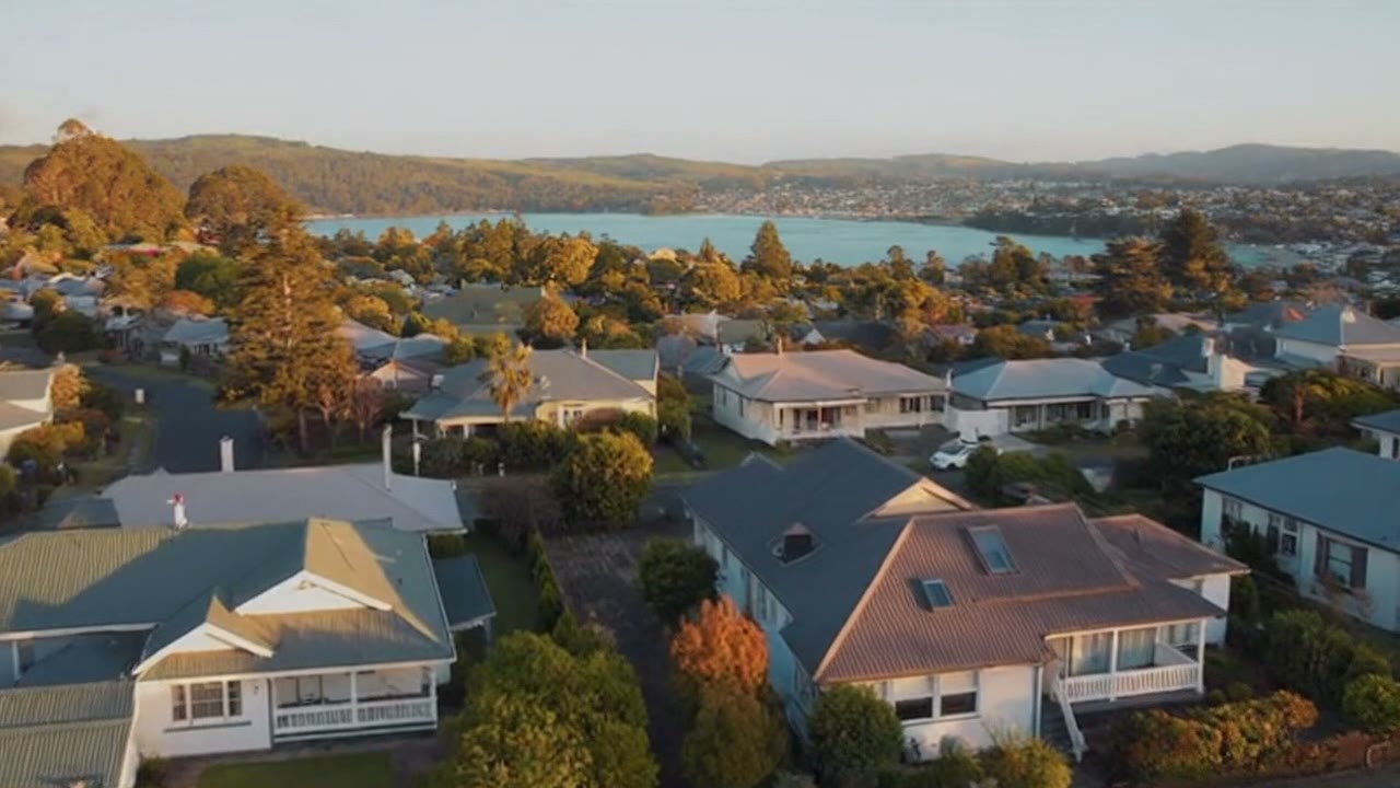 How we help, in real-world (anonymised) situations — realistic NZ property scene